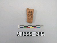 藏品(紅色細砂陶片)的圖片